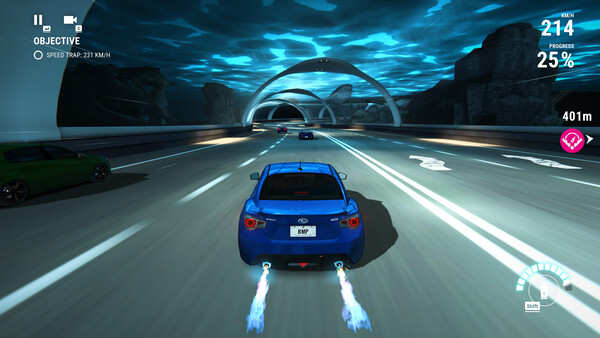 Race Max Profor windows and Linux 1