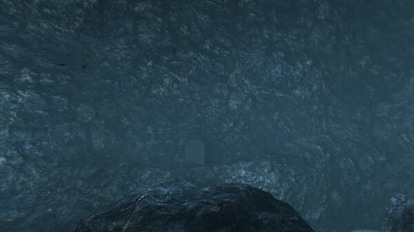 Cassiculus screenshot 6