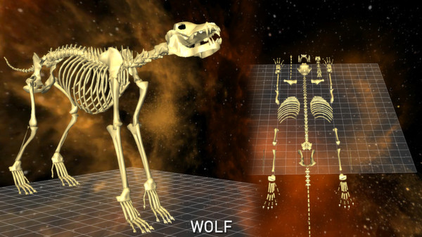 World of Guns: 5 Skeletons Pack