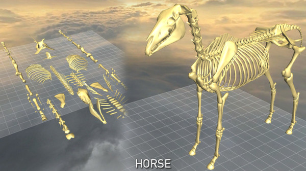 World of Guns: 5 Skeletons Pack