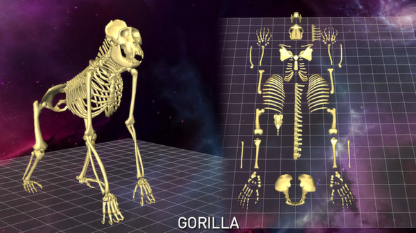 World of Guns: 5 Skeletons Pack