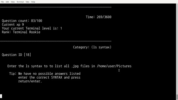 TerminalMaster Screenshot