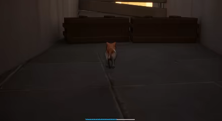 A Lost Whisker video 2