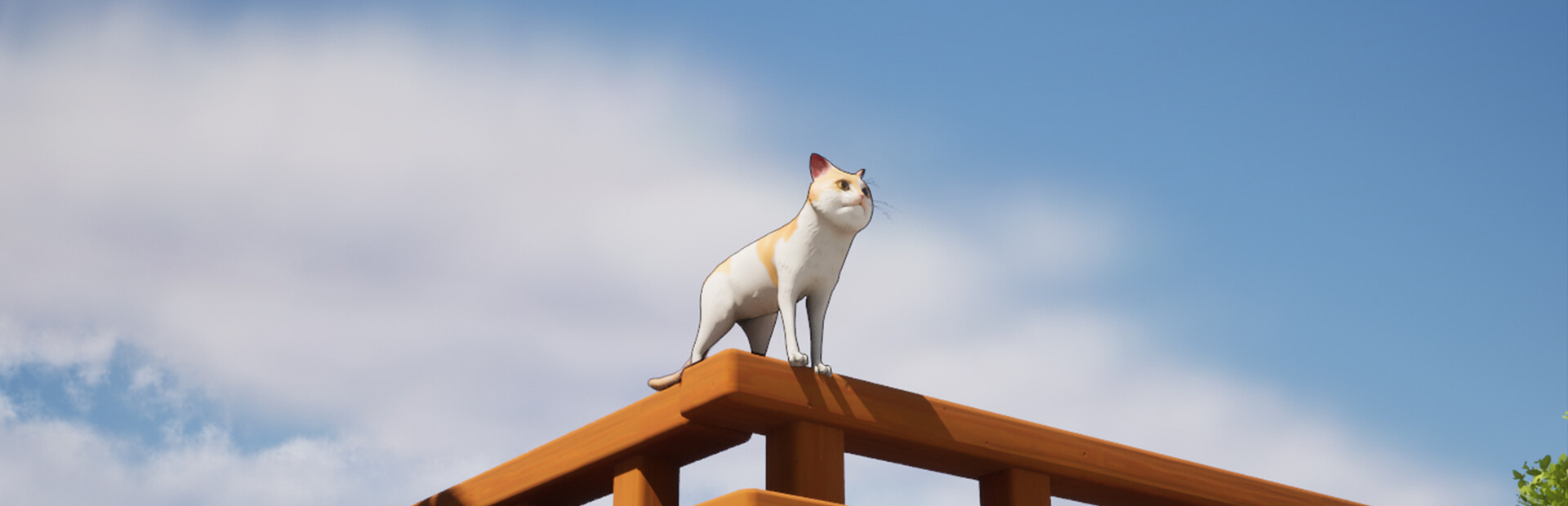 A Lost Whisker