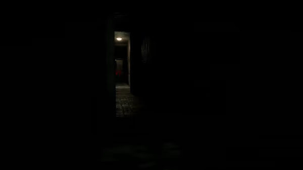 Red Door Ylw Door video 8