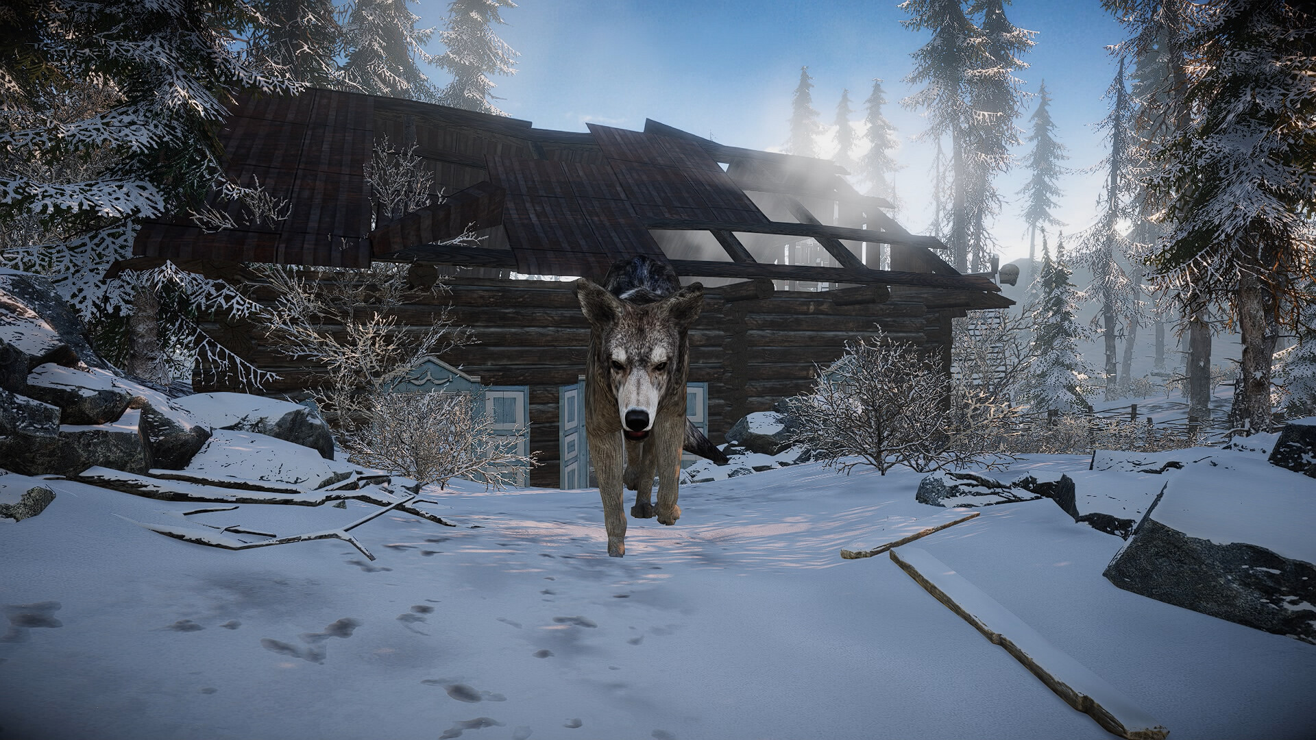 Short Snow | Cold Survival Game screenshot 27