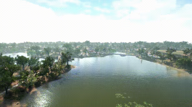 Fishing for cats video 1