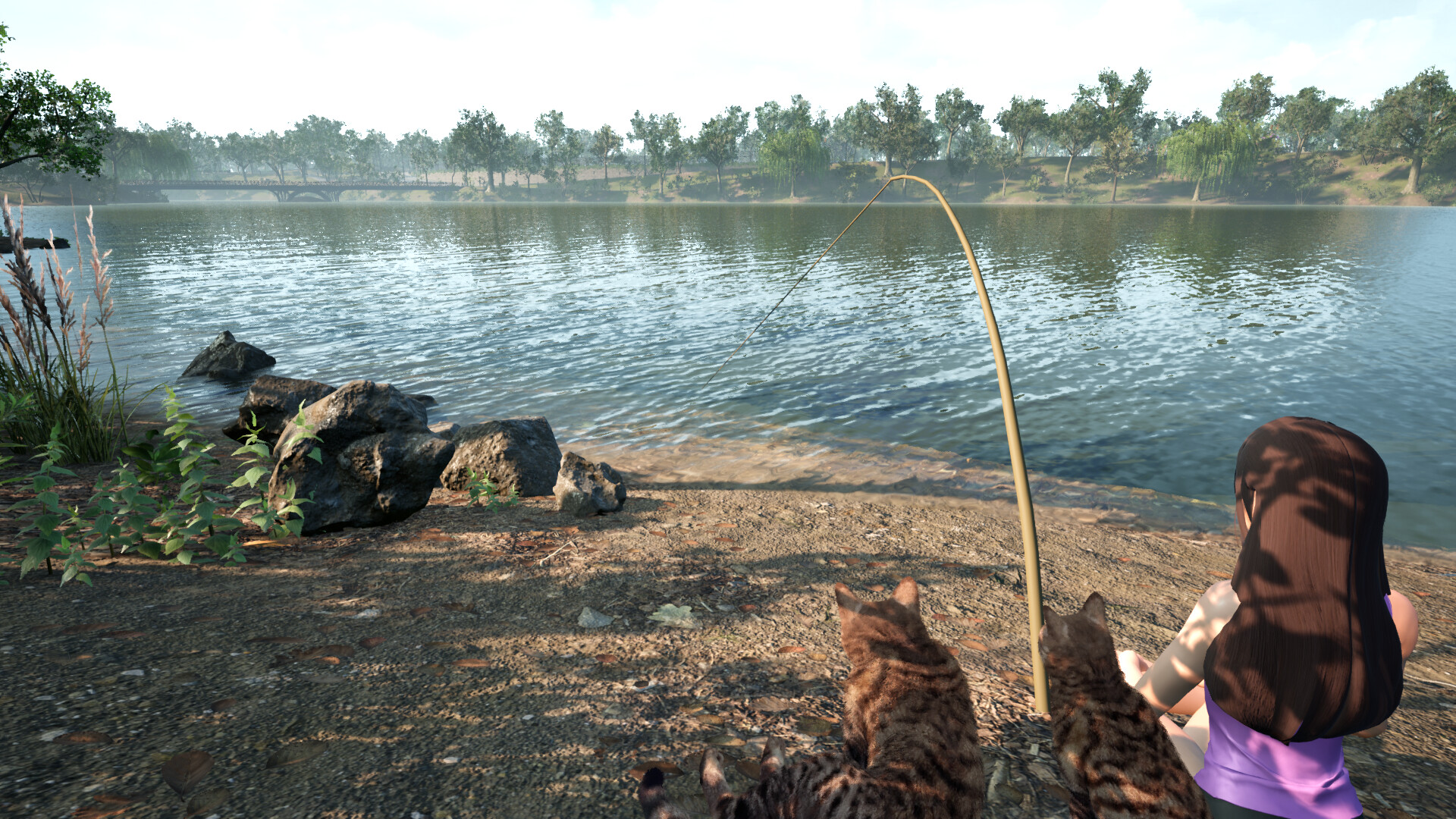 Fishing for cats screenshot #4