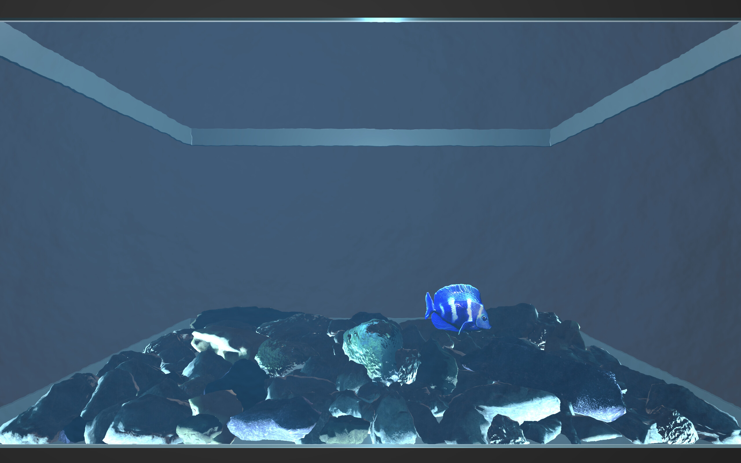 Aquario screenshot