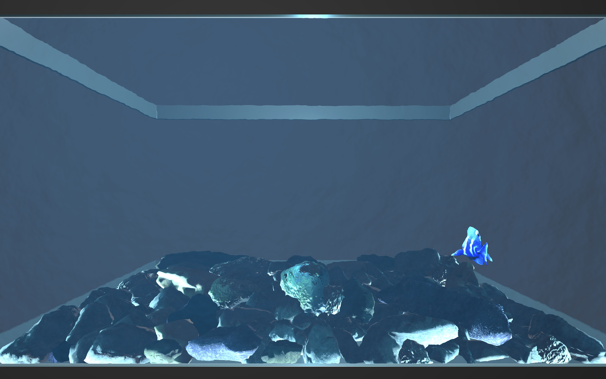 Aquario screenshot