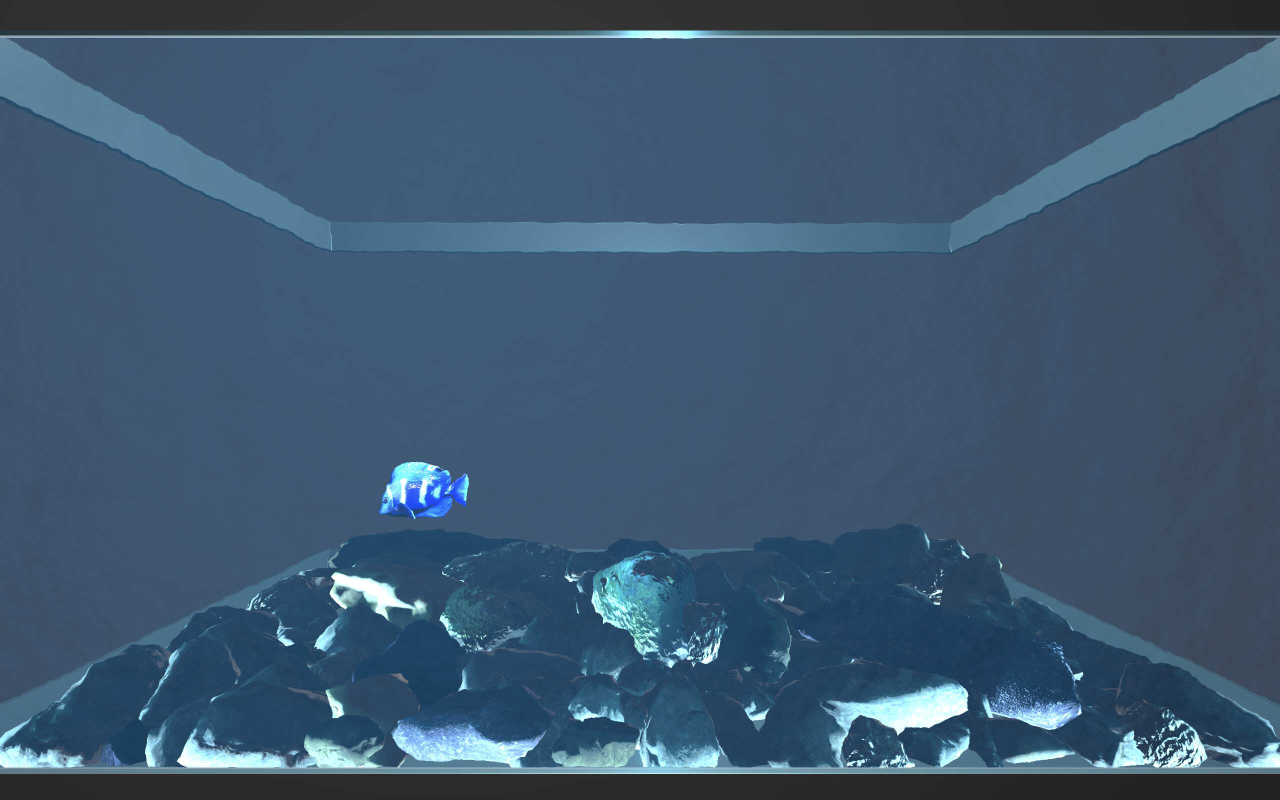 Aquario screenshot