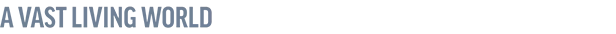 The Long Dark image