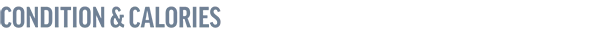 The Long Dark image