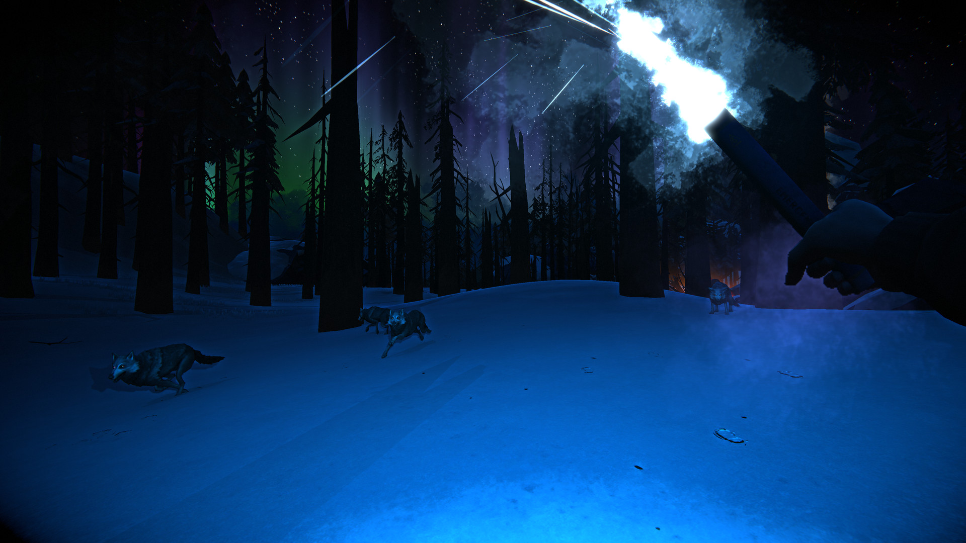 The Long Dark – Screenshot 20
