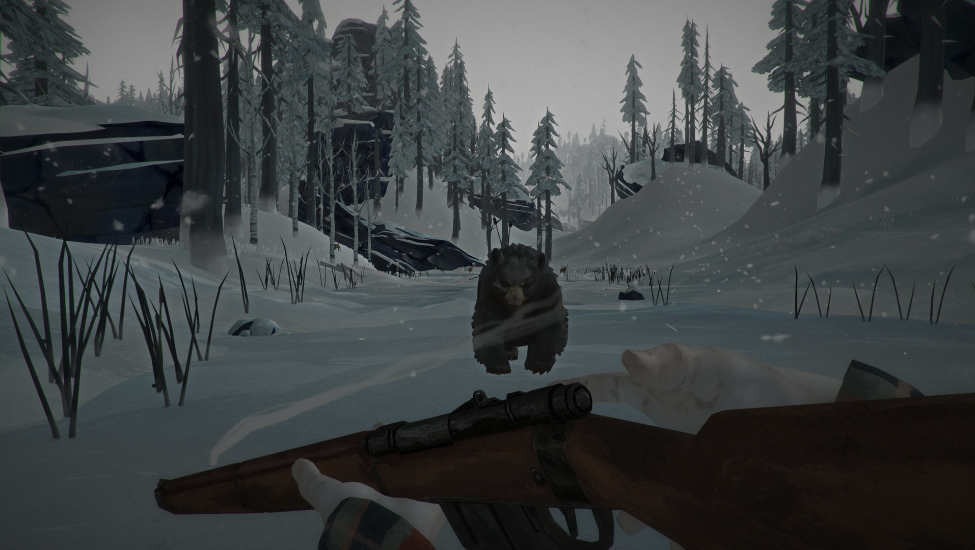 The Long Dark – Screenshot 4