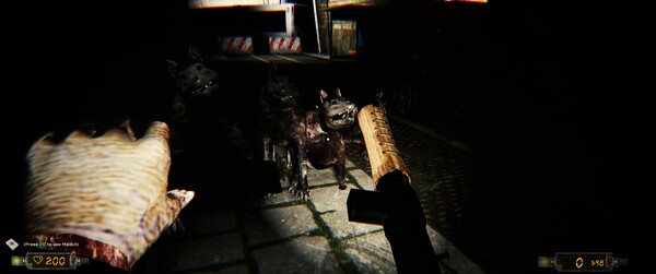 Screenshot 28