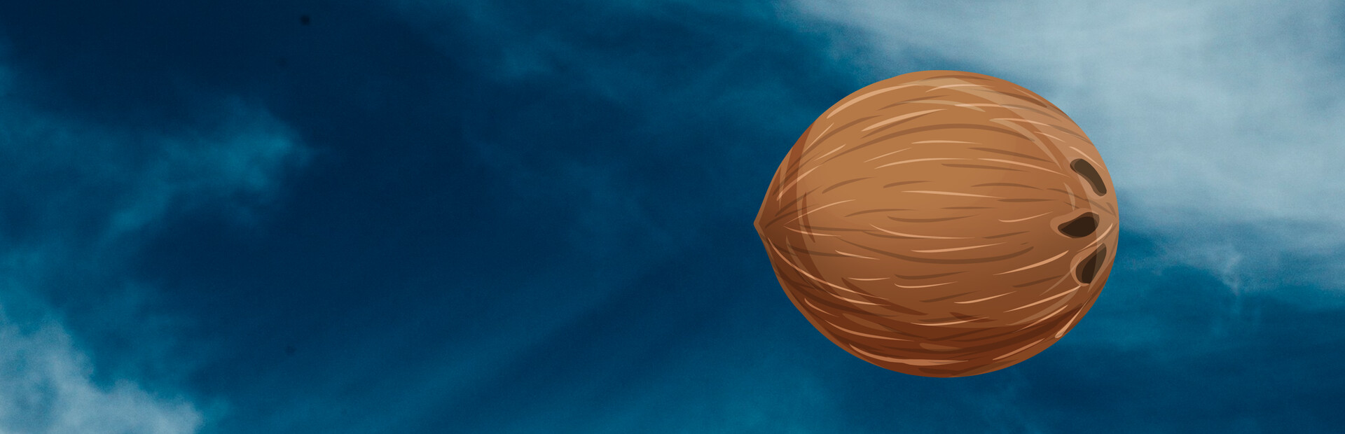Coconut