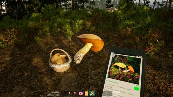 Screenshot z Mushroom Season