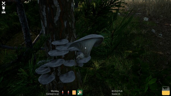 Screenshot z Mushroom Season