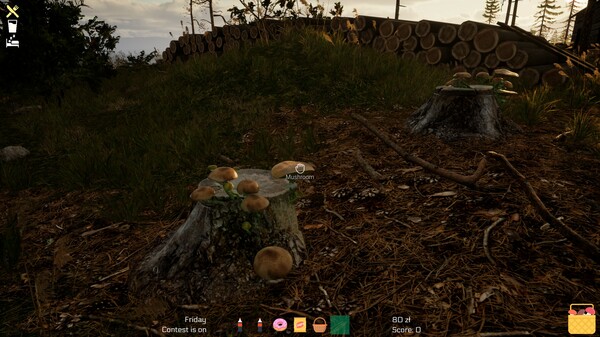 Screenshot z Mushroom Season