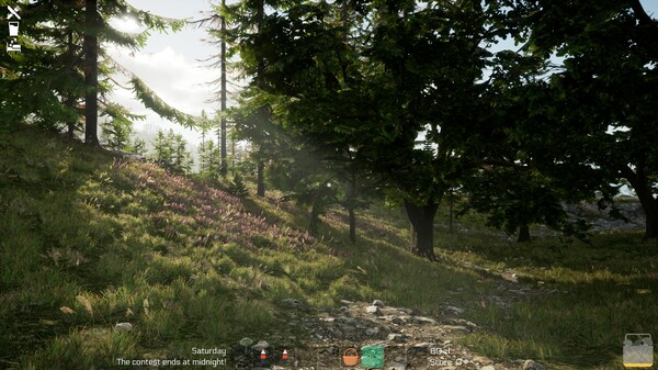 Screenshot z Mushroom Season