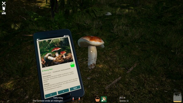 Screenshot z Mushroom Season