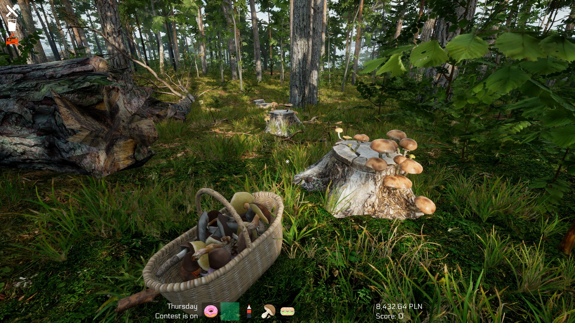 Mushroom Season screenshot 10