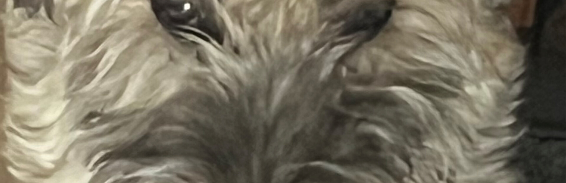 Snoot Runner