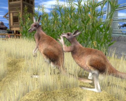 Thumbnail 11