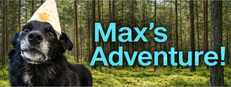 Max's Adventure