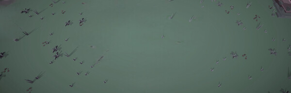 Cursed Cove screenshot 6