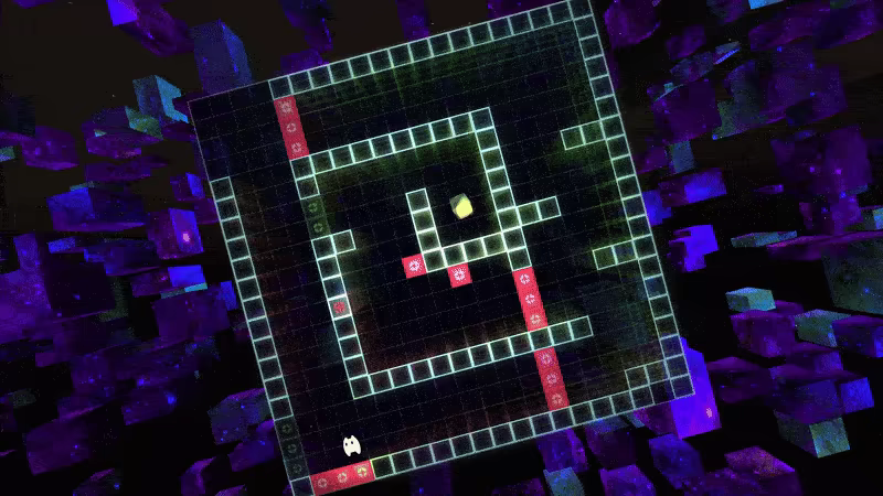 Vextorial video 5