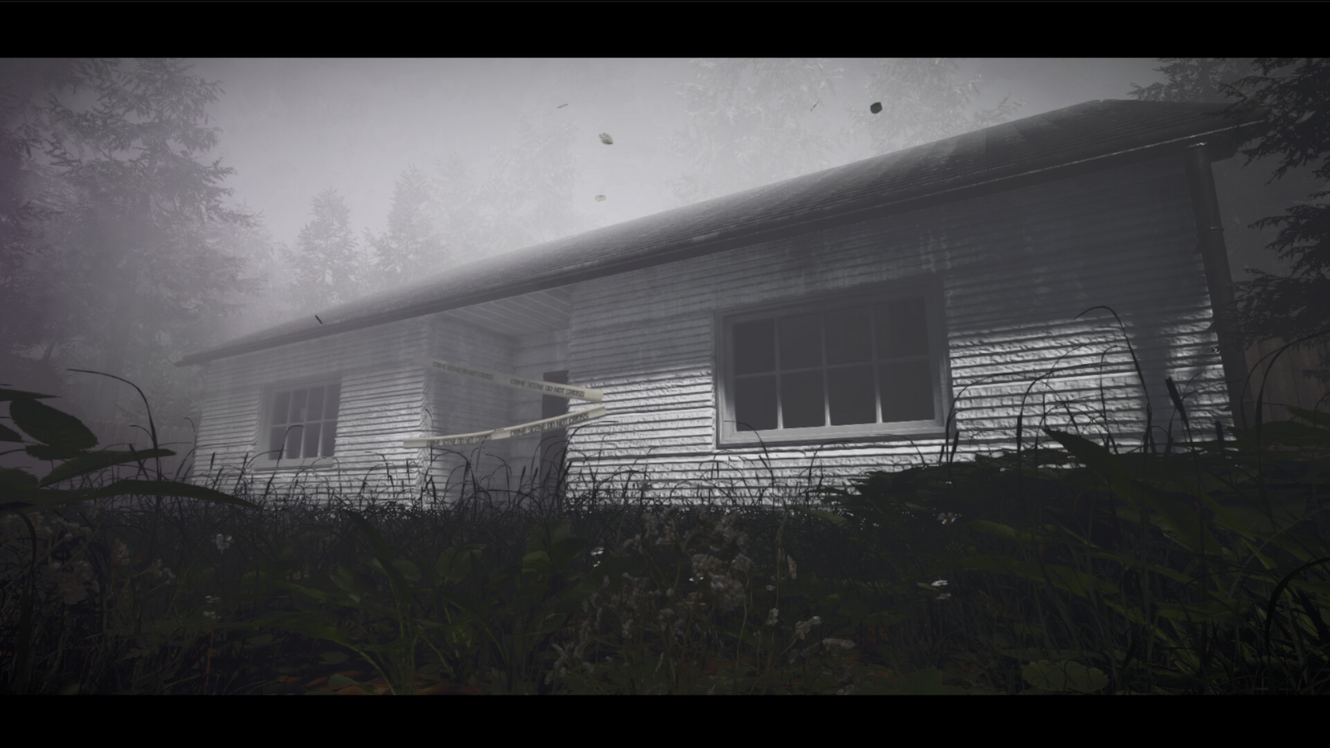 Distant screenshot #5