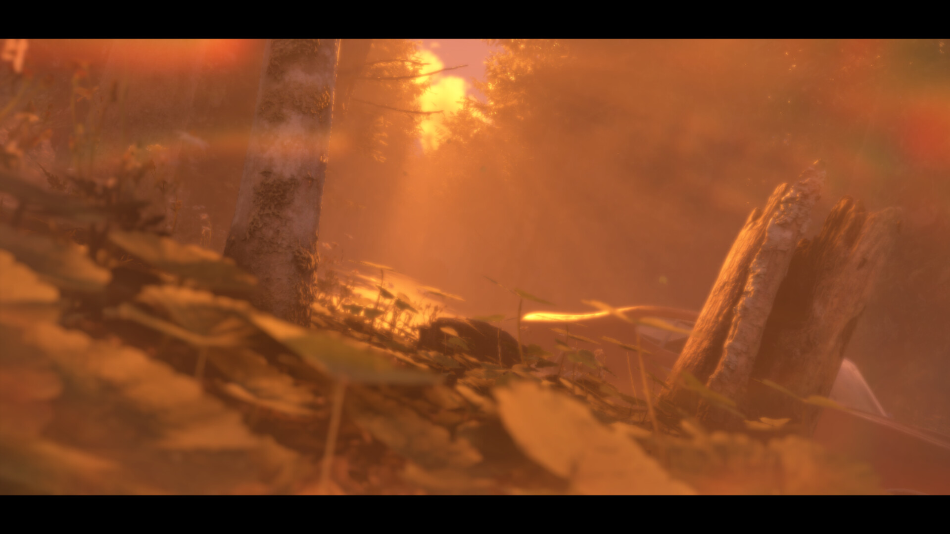 Distant screenshot #1