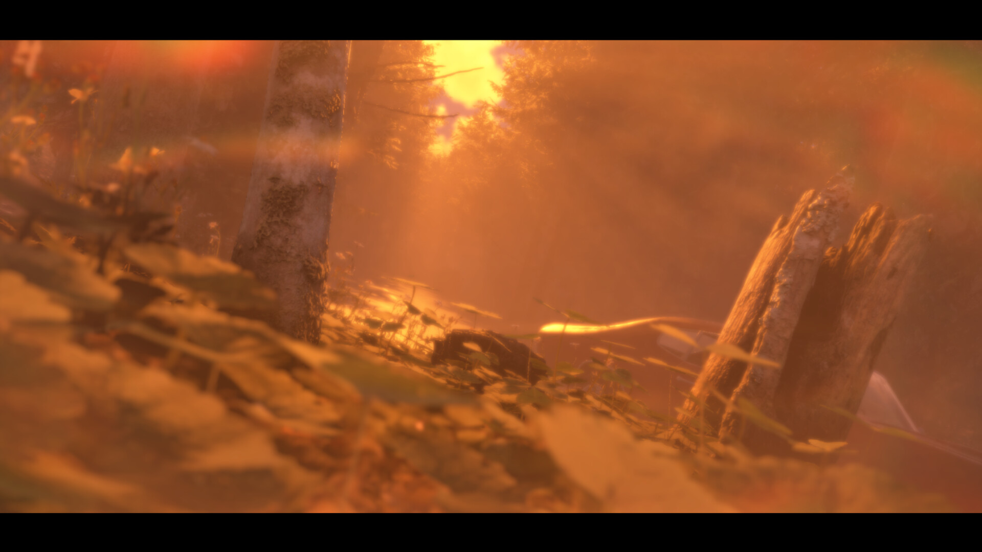 Distant screenshot #1