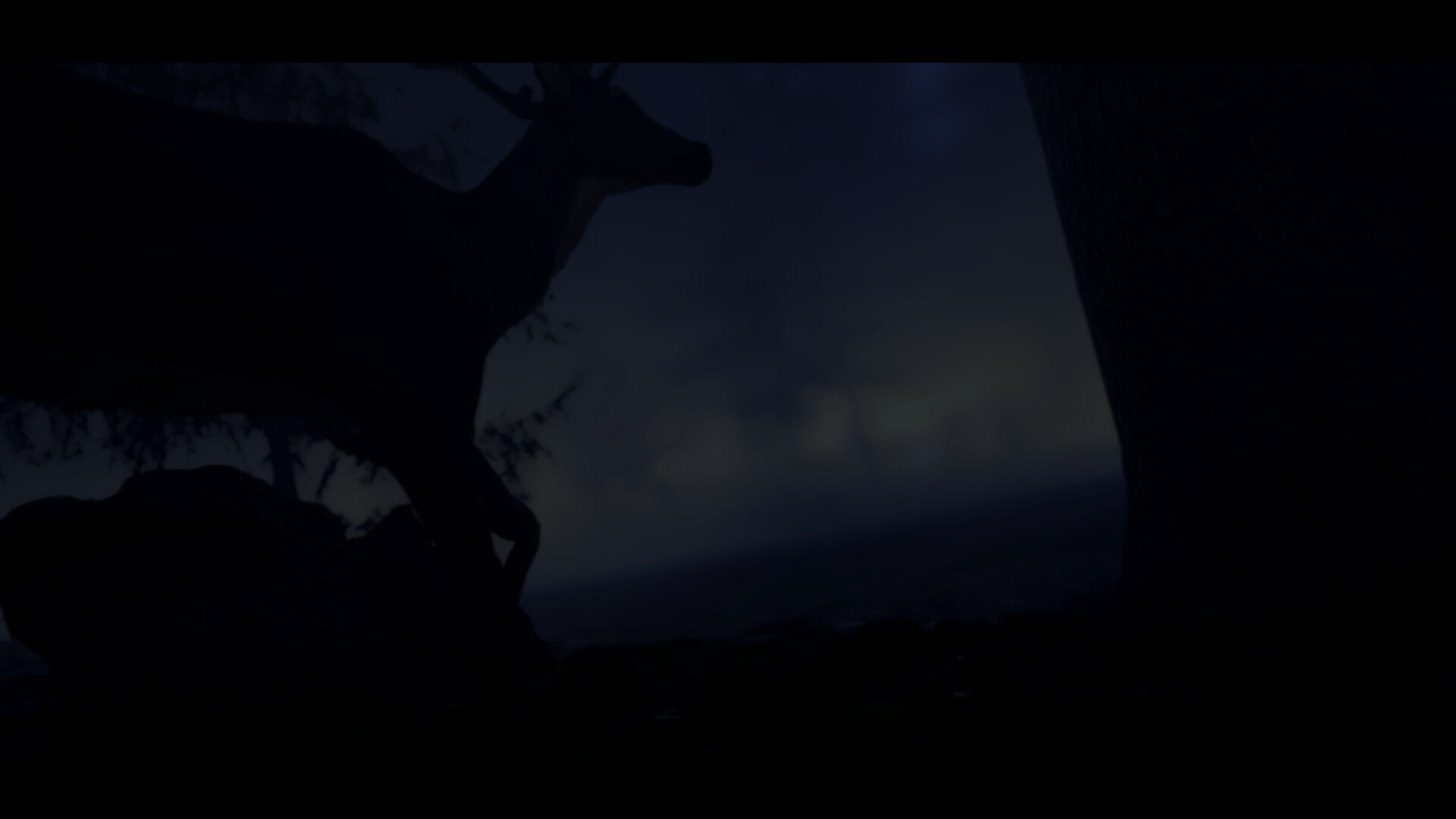 Distant screenshot #7