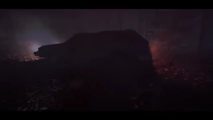 Distant video 2
