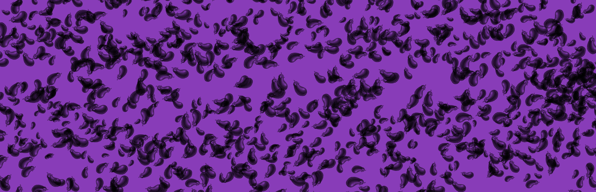 Eggplant