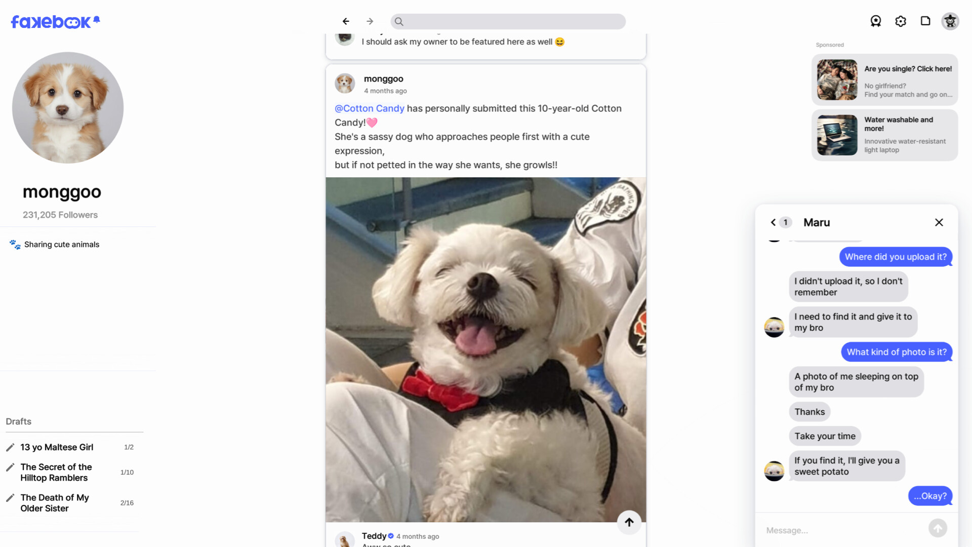 FAKEBOOK Featured Screenshot #1