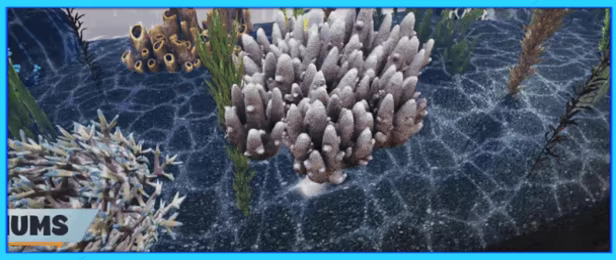 水族店模拟器|水生商店模拟器/ Aquatic Store Simulator Build.24592577 免安装中文版