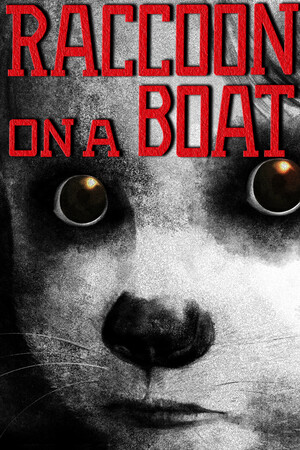 Raccoon on a boat