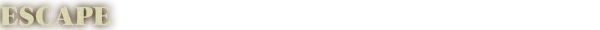 Game media