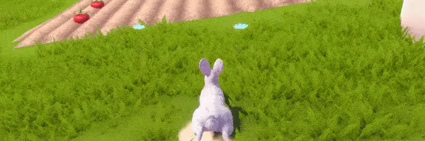 Adventure Forest: Rabbit Story video 5