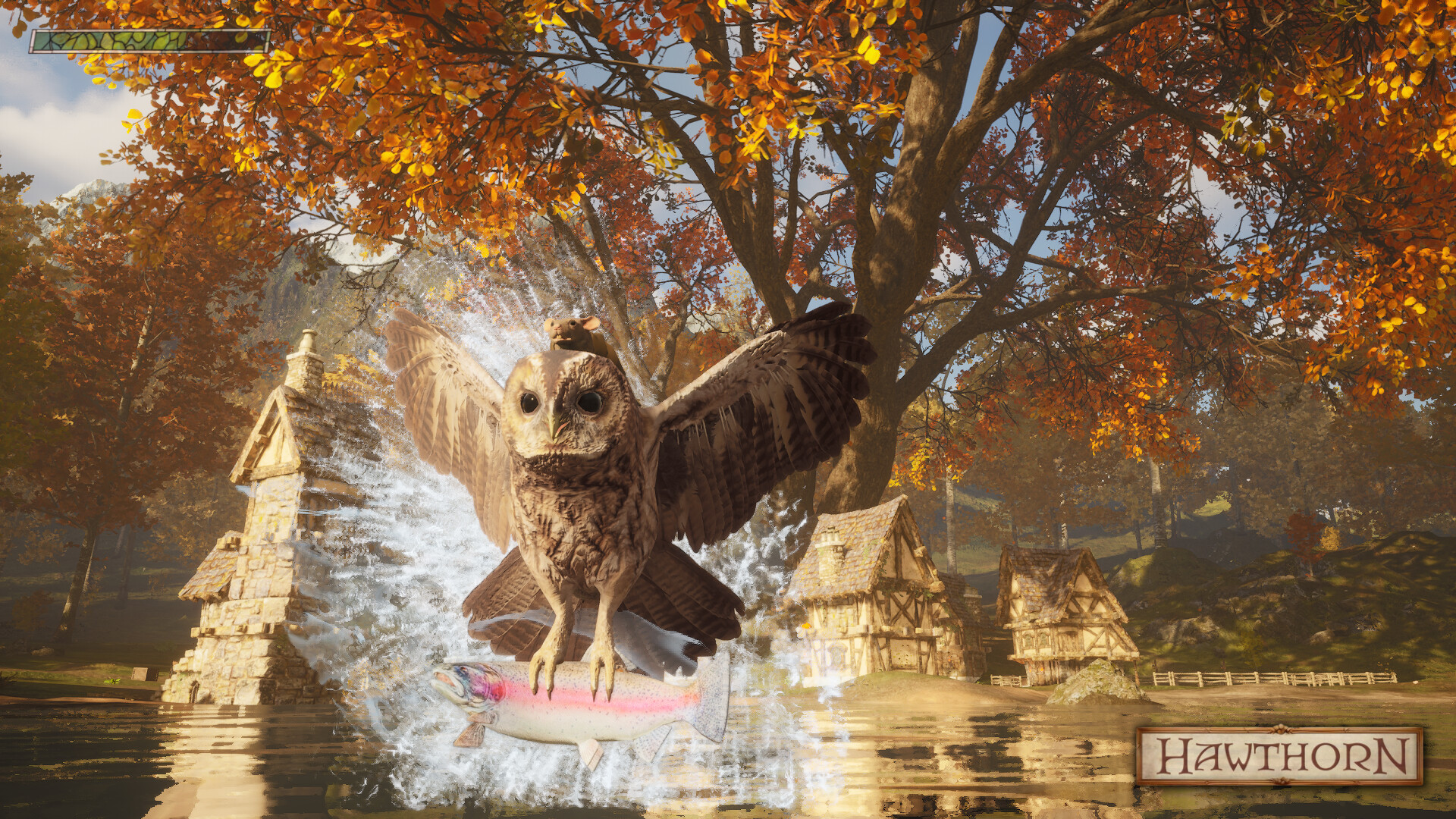 Hawthorn — screenshot 2