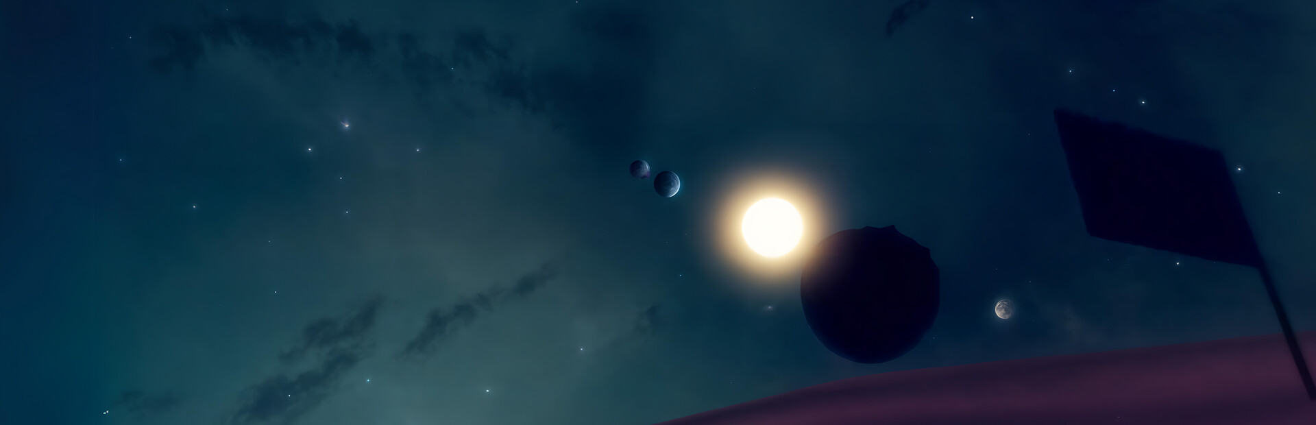 Space Tourist