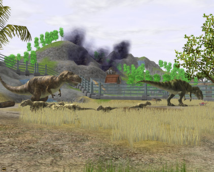 Thumbnail 12