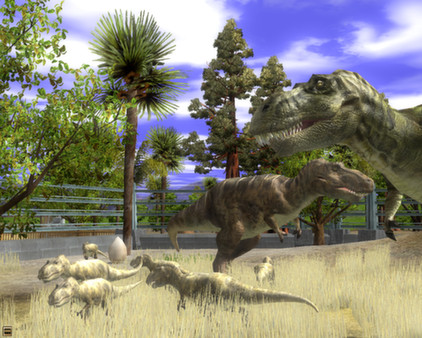 Thumbnail 10