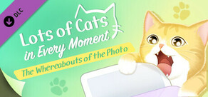 Lots of Cats in Every Moment: The Whereabouts of the Photo