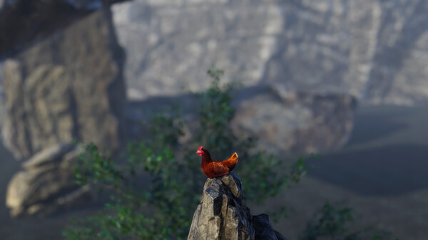 Screenshot z Unlucky Chicken