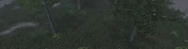 Ember's Verge video 4